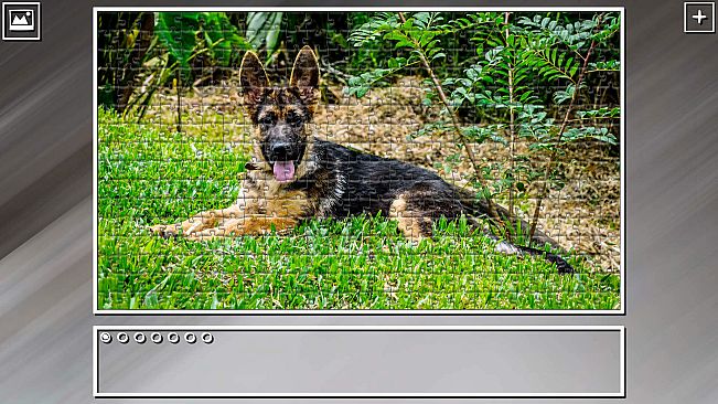 Super Jigsaw Puzzle: Generations - Dogs 3