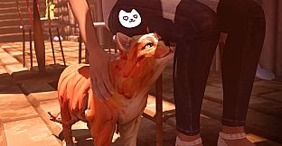 The Cat: Tales of Istanbul