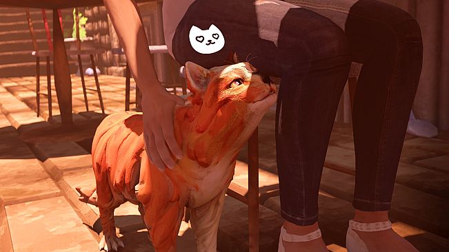 The Cat: Tales of Istanbul