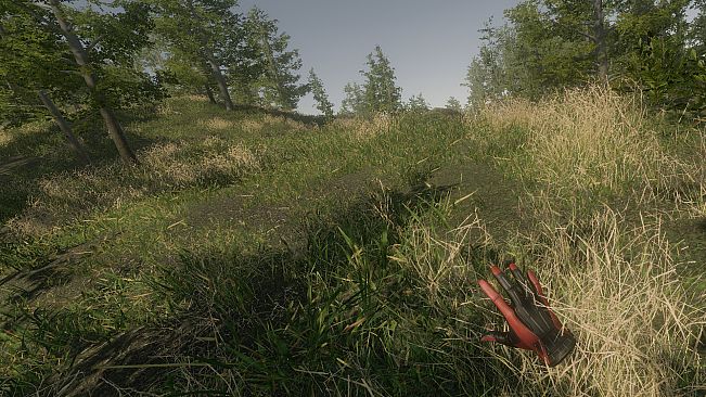 VR Walking Simulator