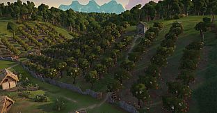 Foundation: Harvest Festival
