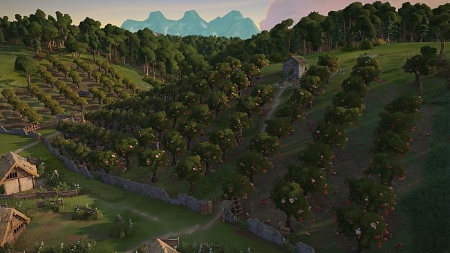Foundation: Harvest Festival