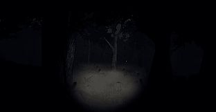 Phantom Jay