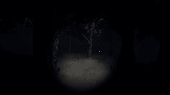 Phantom Jay