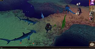 Neverwinter Nights: Pirates of the Sword Coast