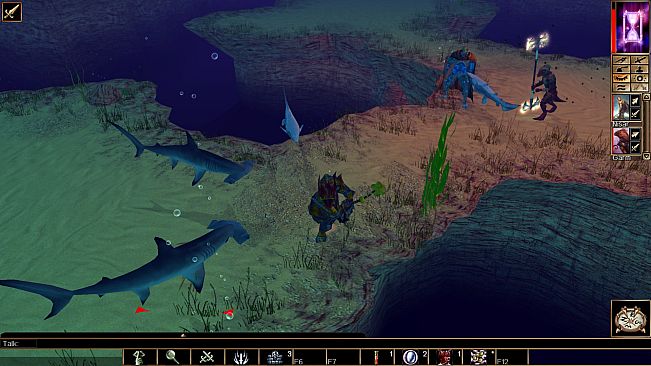 Neverwinter Nights: Pirates of the Sword Coast