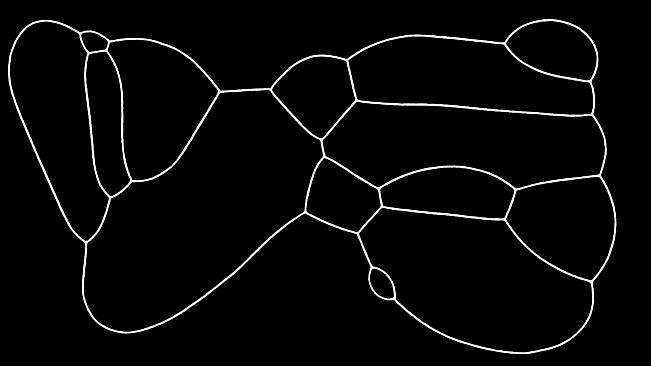 PHYSARUM: Slime Mold Simulator