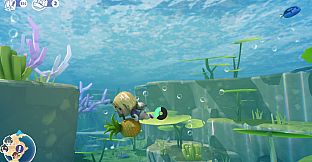 Splash Divers