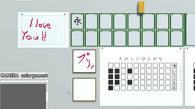 The Japanese Calligraphy