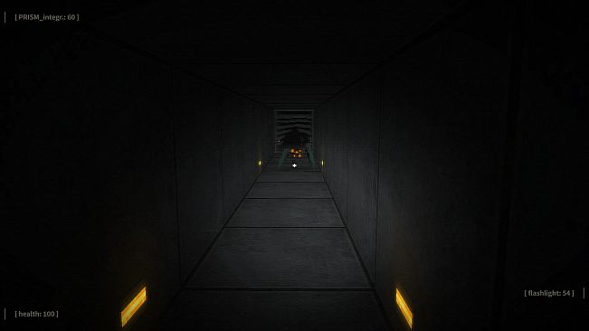 SYSTEM INTRUDER