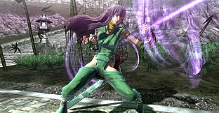 THE NINJA (Purple) & THE NINJA (Green)