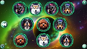 Space Memory: Dogs