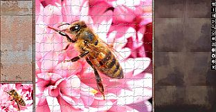 Jigsaw Puzzle Pack - Pixel Puzzles Ultimate: Macro