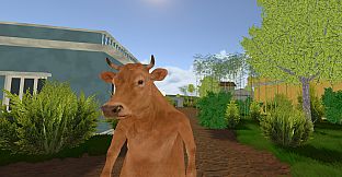 Cow's Heart