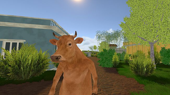 Cow's Heart