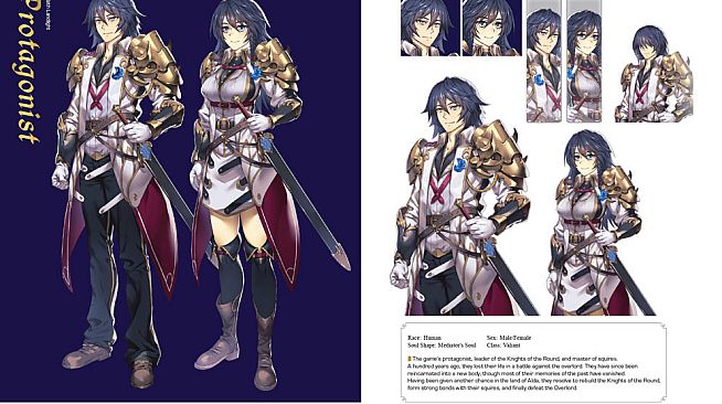 Saviors of Sapphire Wings / Stranger of Sword City Revisited - "Journey from Savior to Stranger" Art Book