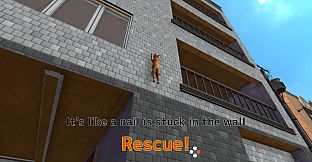 Rescue Over 100 Town Cats