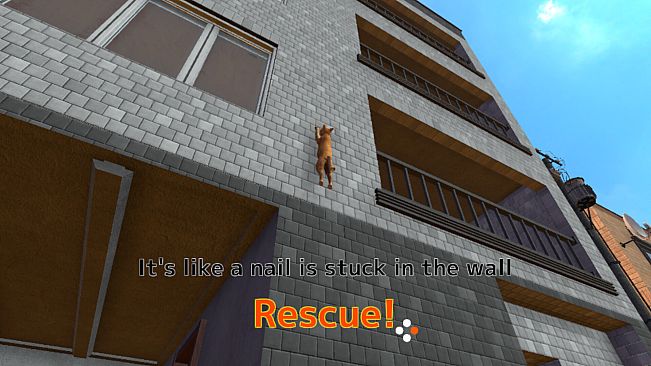 Rescue Over 100 Town Cats