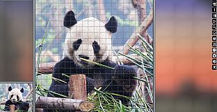 Jigsaw Puzzle Pack - Pixel Puzzles Ultimate: Variety Pack 5