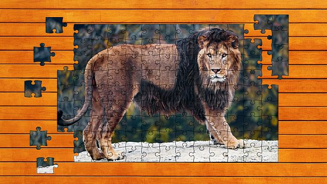 Big Cat Jigsaw Quest - Expansion Pack 1