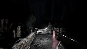 Silence In The Cabin