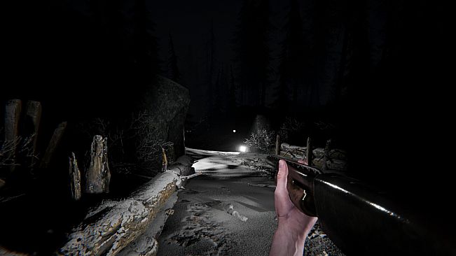 Silence In The Cabin