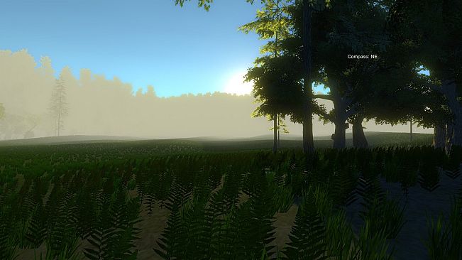 Turkey Hunting Unlimited