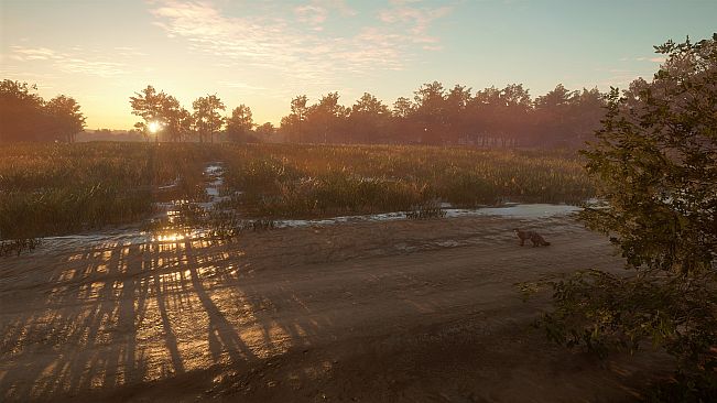 theHunter: Call of the Wild - Mississippi Acres Preserve