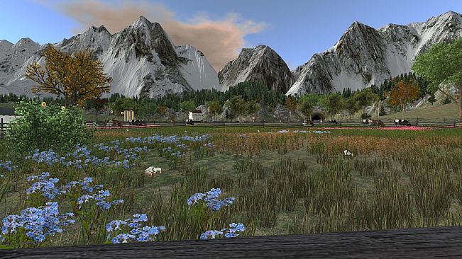 Professional Farmer 2017 - Cattle & Cultivation