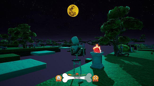 Bony Bones Adventures