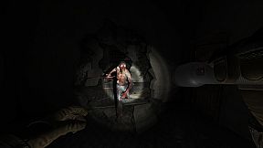 Allison's Diary: Rebirth