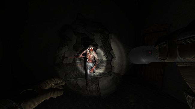 Allison's Diary: Rebirth