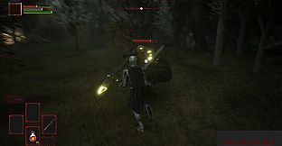 Sword of Ace