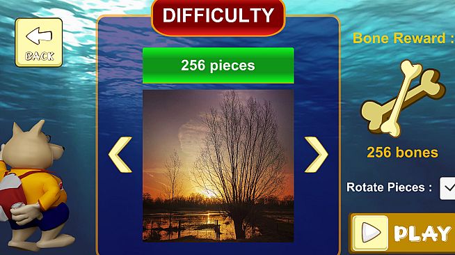 Jigsaw Puzzle: Belgium Through The Lens