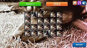 OG Memory: Kira Maus