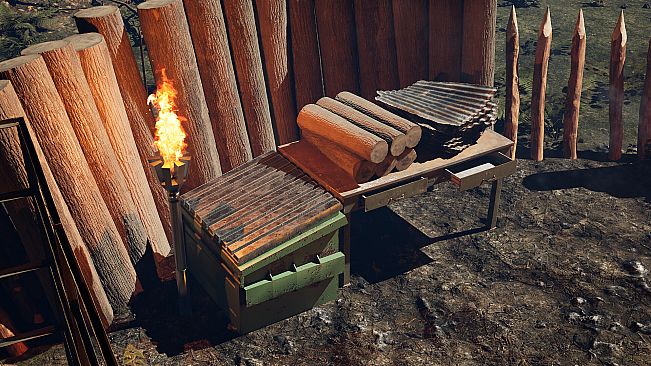 88 NIGHTS IN THE FOREST