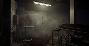 Robotization: The Last Human