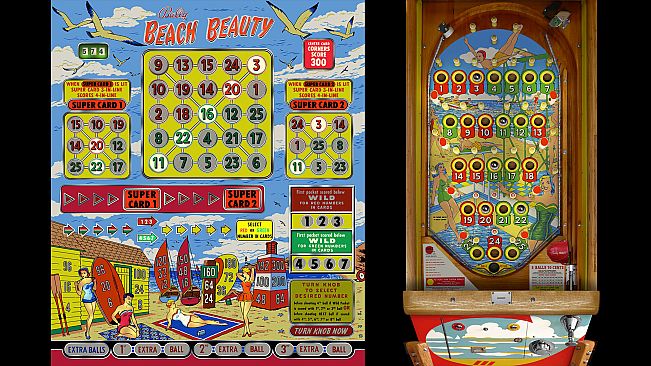 Bingo Pinball Gameroom - Bally Beach Beauty