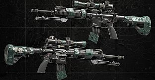 Squad Weapon Skins - Recon Team Pack