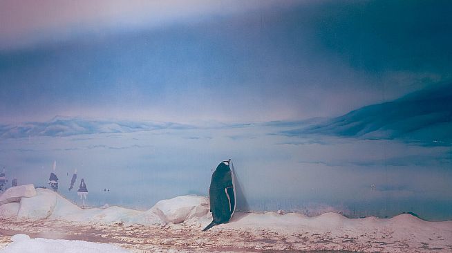 垂钓日记 The Sailor's Guide to Game Design - Nature 摄影集