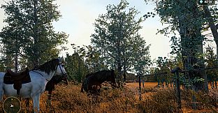 Horse Spirit Valley 2