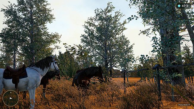 Horse Spirit Valley 2