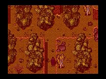 Mysteries of Shaola: The Princess Must Die