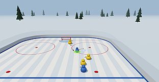 Bird Hockey League