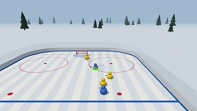 Bird Hockey League