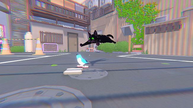 Little Kitty, Big City