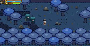 Johnny Ostad's Collection Bundle