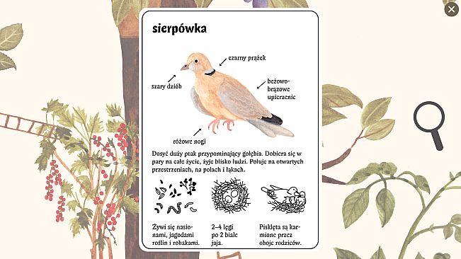 Little Mouse's Encyclopedia