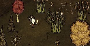 Don't Starve Together: Starter Pack 2021