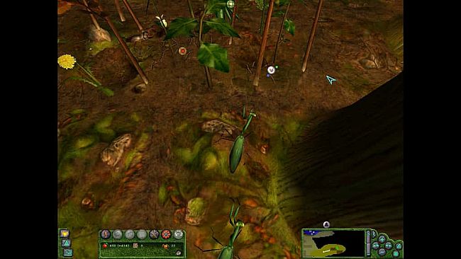 Empire of the Ants (2000)